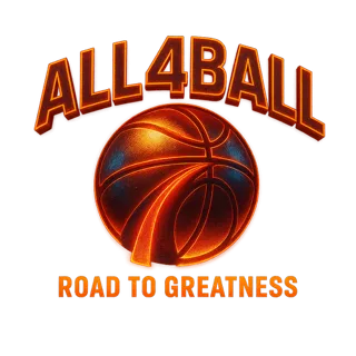 All4Ball website screenshot